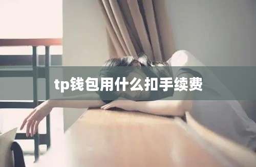 tp钱包用什么扣手续费