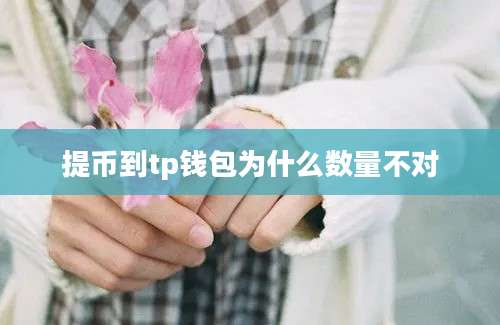 提币到tp钱包为什么数量不对