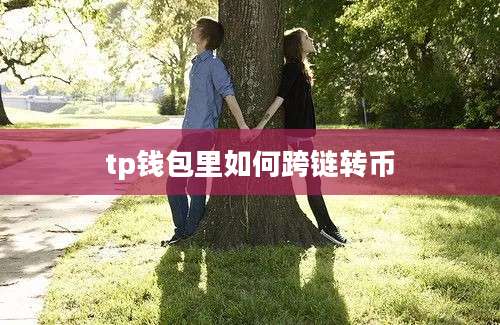 tp钱包里如何跨链转币
