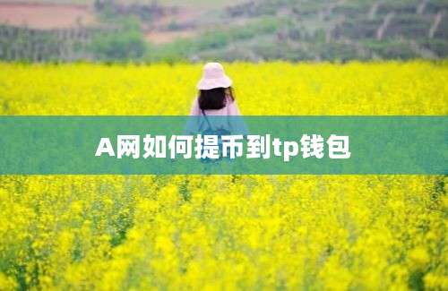 A网如何提币到tp钱包