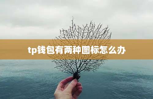 tp钱包有两种图标怎么办