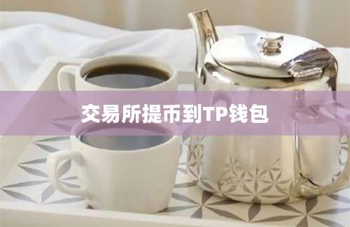 交易所提币到TP钱包