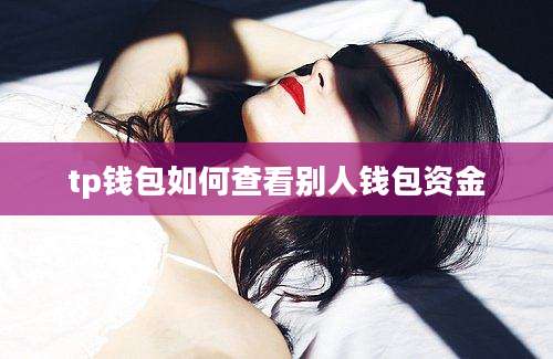 tp钱包如何查看别人钱包资金