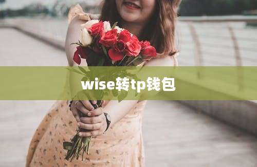 wise转tp钱包