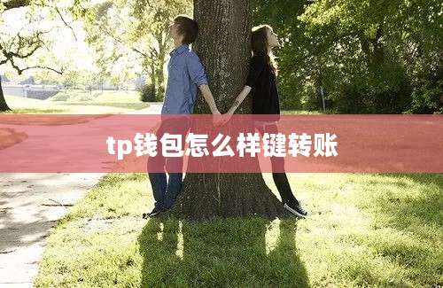 tp钱包怎么样键转账