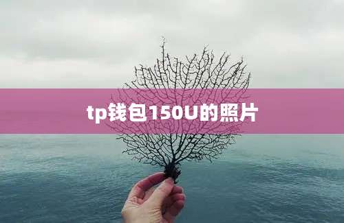 tp钱包150U的照片