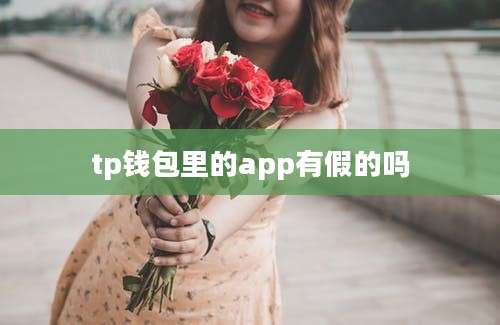 tp钱包里的app有假的吗