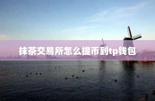 抹茶交易所怎么提币到tp钱包