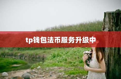 tp钱包法币服务升级中
