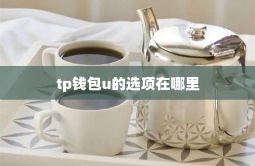 tp钱包u的选项在哪里
