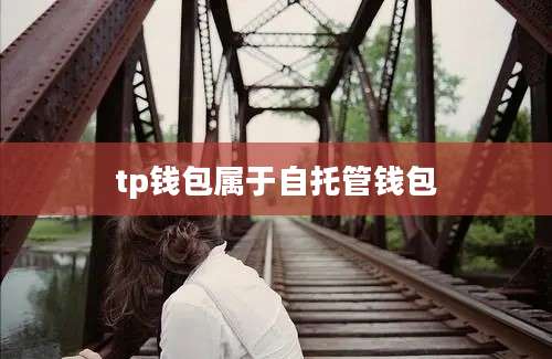 tp钱包属于自托管钱包