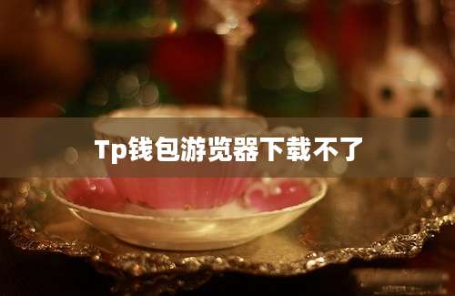 Tp钱包游览器下载不了