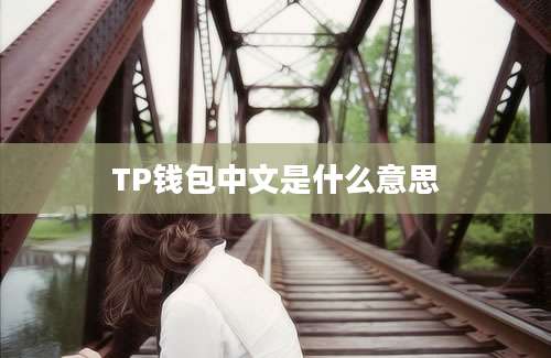 TP钱包中文是什么意思