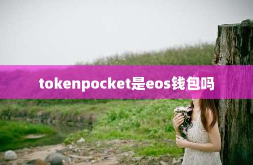 tokenpocket是eos钱包吗