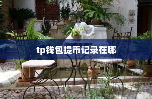 tp钱包提币记录在哪