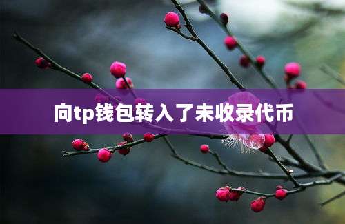 向tp钱包转入了未收录代币