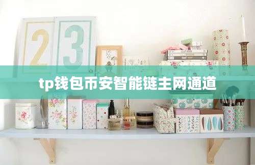 tp钱包币安智能链主网通道