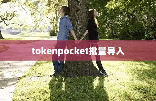 tokenpocket批量导入