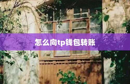怎么向tp钱包转账