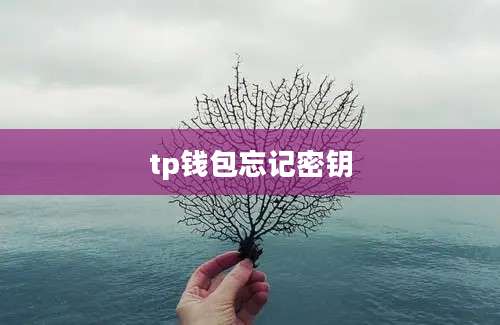 tp钱包忘记密钥