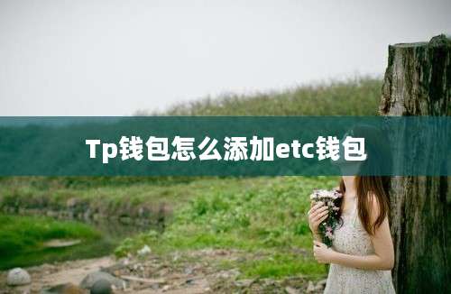 Tp钱包怎么添加etc钱包