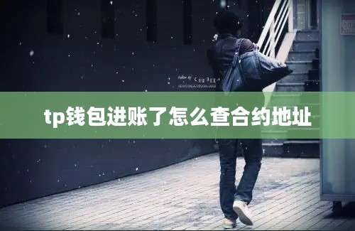 tp钱包进账了怎么查合约地址