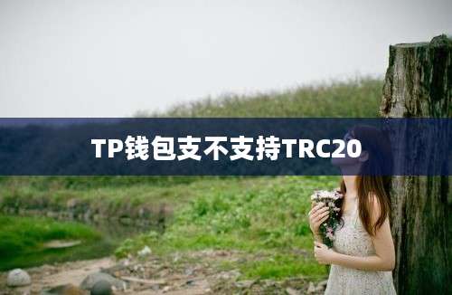 TP钱包支不支持TRC20