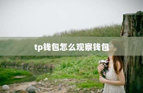 tp钱包怎么观察钱包