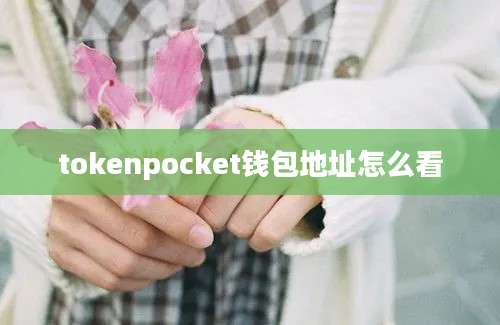 tokenpocket钱包地址怎么看