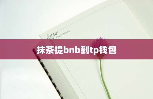 抹茶提bnb到tp钱包