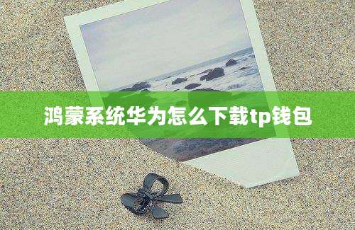 鸿蒙系统华为怎么下载tp钱包