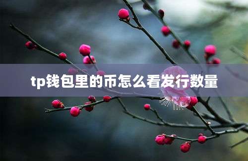 tp钱包里的币怎么看发行数量