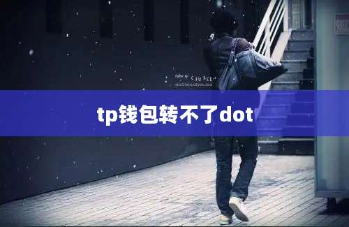 tp钱包转不了dot