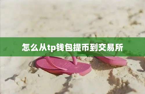 怎么从tp钱包提币到交易所
