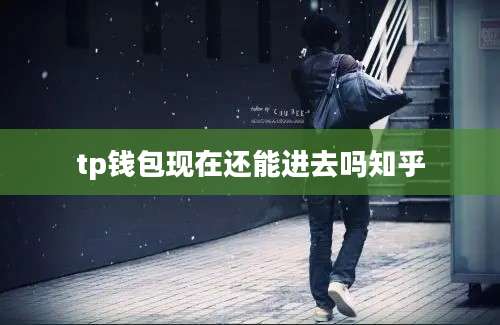 tp钱包现在还能进去吗知乎