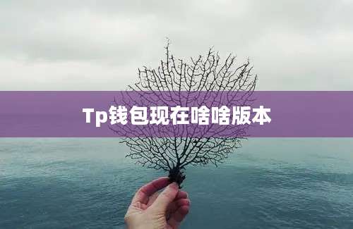 Tp钱包现在啥啥版本