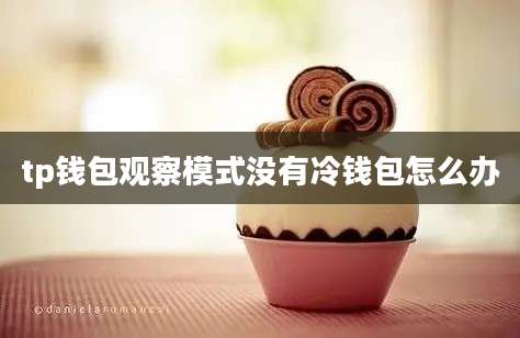 tp钱包观察模式没有冷钱包怎么办