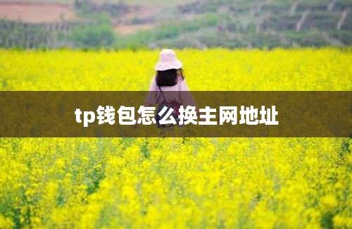 tp钱包怎么换主网地址