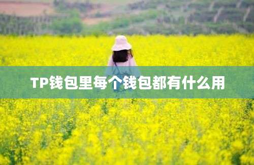 TP钱包里每个钱包都有什么用
