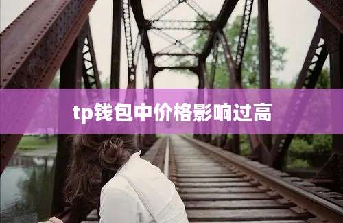 tp钱包中价格影响过高