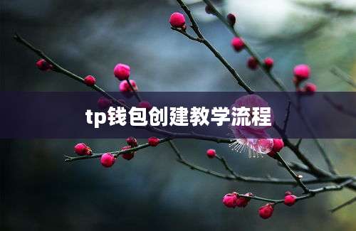 tp钱包创建教学流程