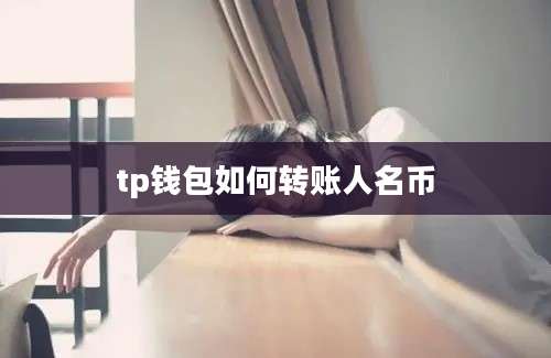tp钱包如何转账人名币