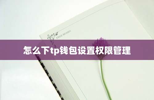怎么下tp钱包设置权限管理