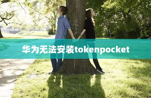 华为无法安装tokenpocket