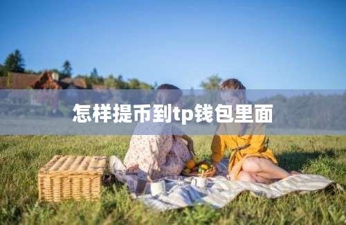 怎样提币到tp钱包里面