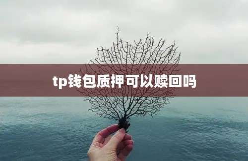 tp钱包质押可以赎回吗