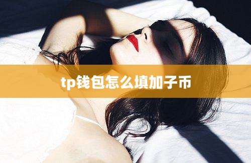 tp钱包怎么填加子币