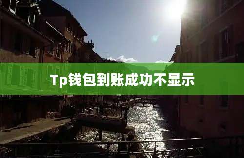 Tp钱包到账成功不显示