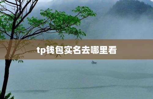 tp钱包实名去哪里看