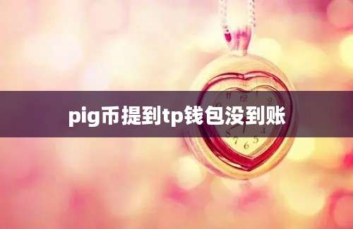 pig币提到tp钱包没到账
